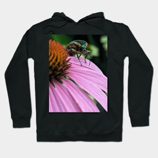 June Bug Hoodie